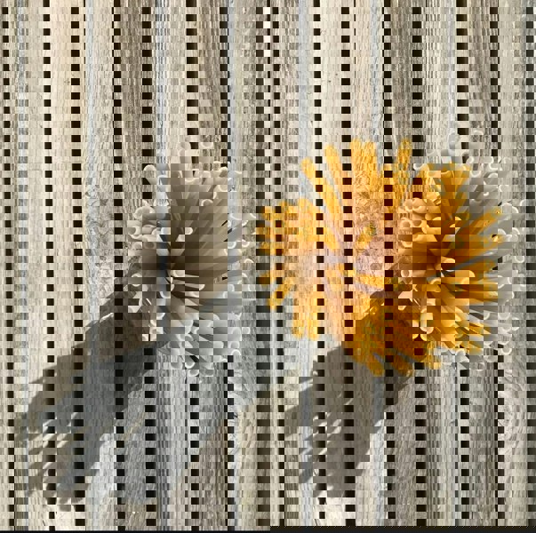 Stroodles 240 Rice Pasta Straws