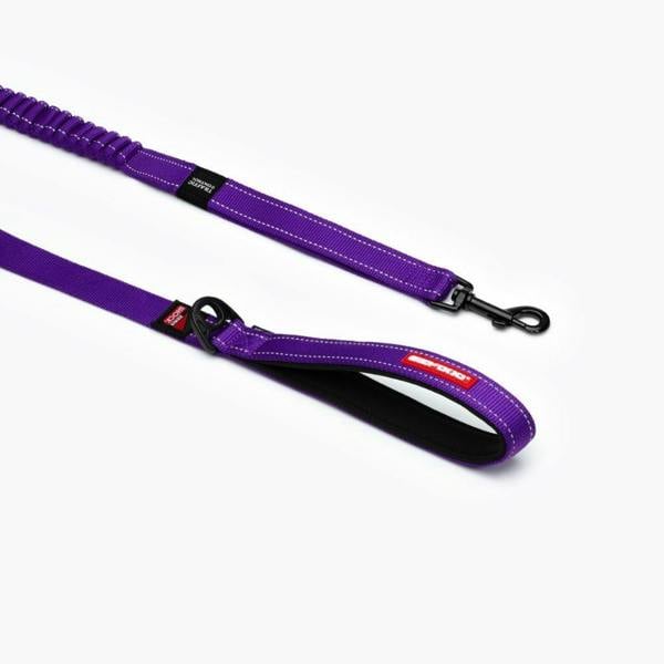 EzyDog Zero Shock Dog Lead in Purple