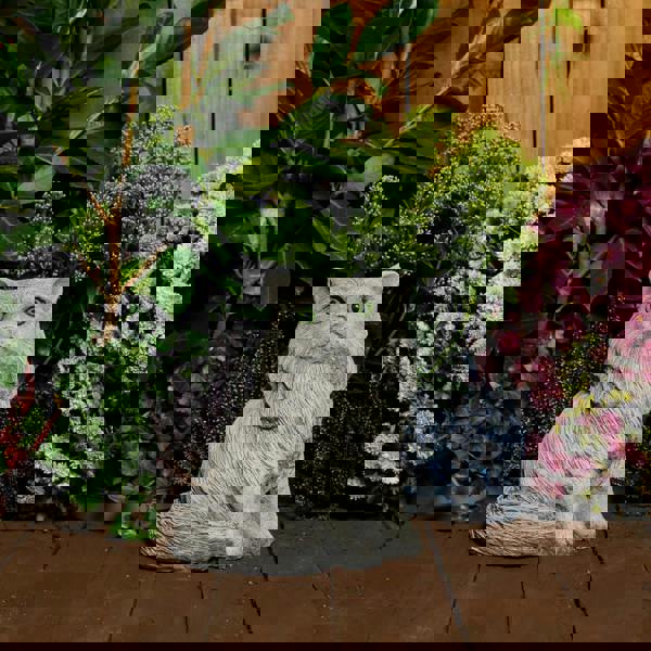 Stone Cast Upright Persian Cat Statues Garden Ornament