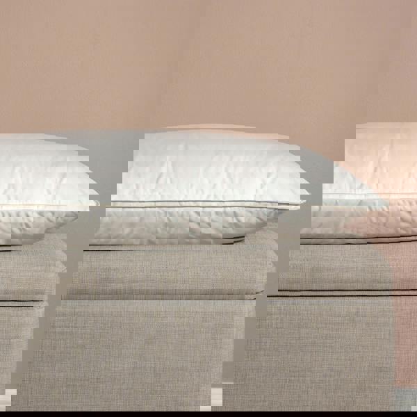 Soak&Sleep Hungarian Goose Down Pillows