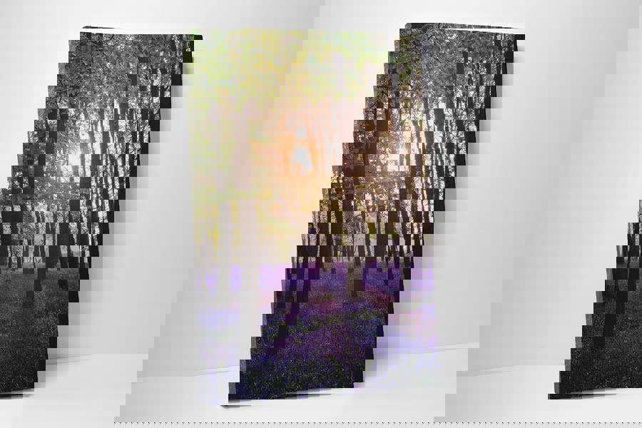 bluebell forest print on canvas