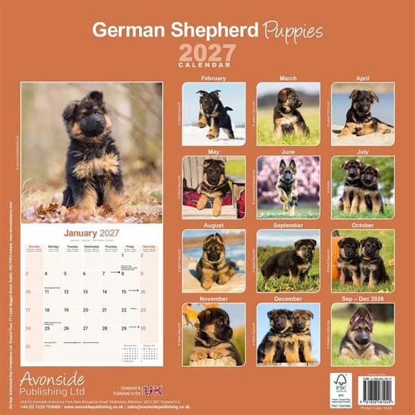 German Shepherd Puppies Calendar 2027, Wall Calendars, Month To View, Dogs, Gift