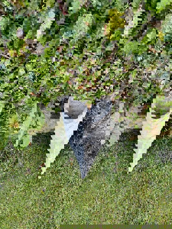 Moon designed Wall Planter and Wall Plaque