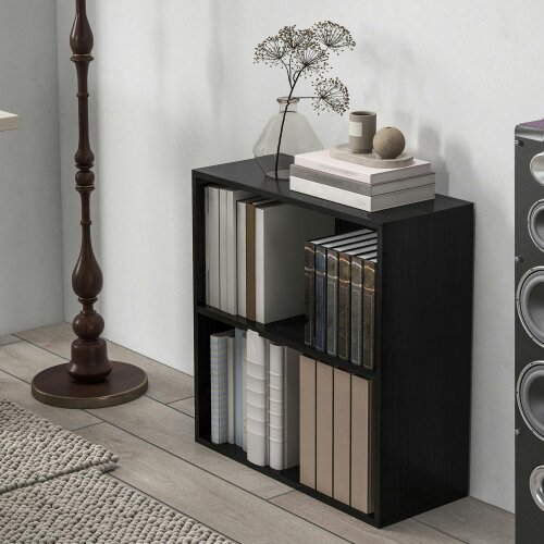 Wyld Haus Rokepa Wood Black Low 2 Tier Bookcase With Adjustable Shelves