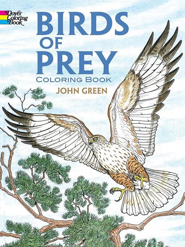 Birds of Prey Coloring Book