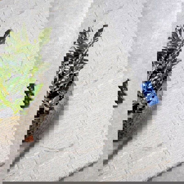 The Rugs Hand-Woven Wool Rug - Elegant Abstract Designs