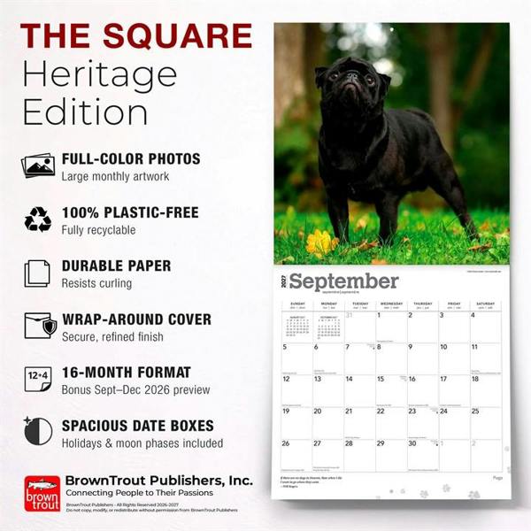 Pugs Calendar 2027, Wall Calendars, Month To View, Dogs, Gift