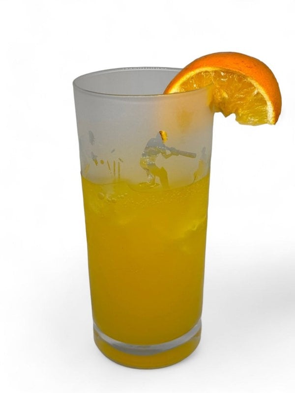 CRICKET-GIFTS Cricket Gifts High Ball Tumbler 37cl