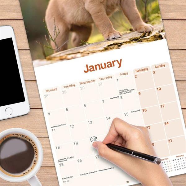 Fox Red Labrador Retriever Calendar 2027, Wall Calendars, Month To View, Dogs, Gift