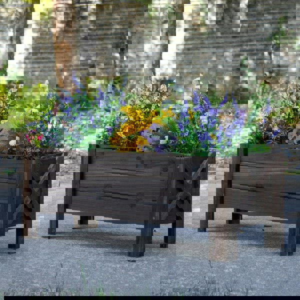 Garden Bed