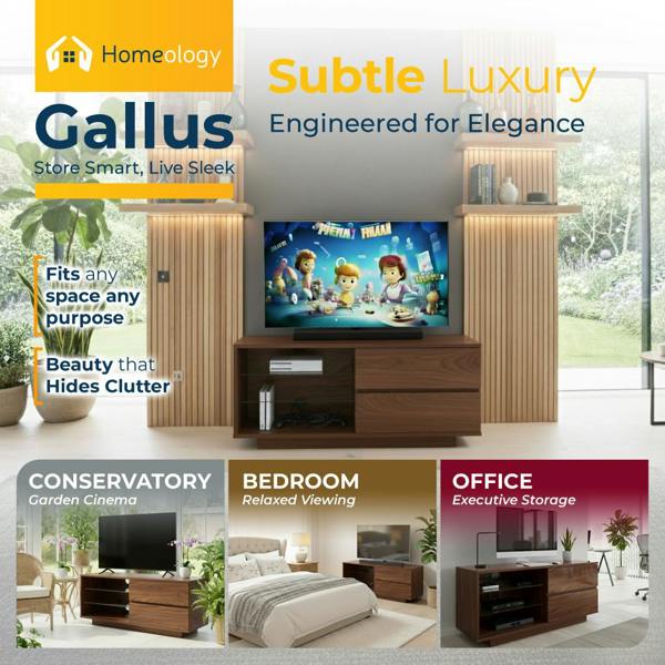 Homeology Gallus Premium Walnut with 2-Walnut Drawers and 3-Shelves 32"-55" LED/OLED/LCD TV Cabinet