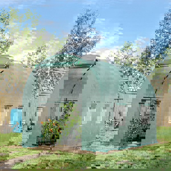 Tunnel Green House
