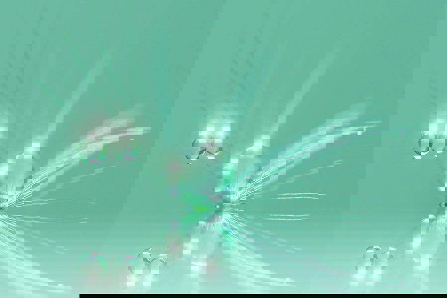 suncatcher macro framed art print