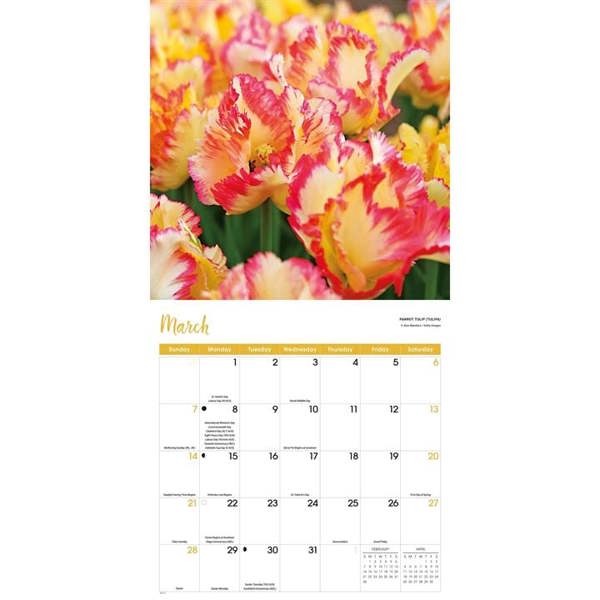 Flowers Calendar 2027, Wall Calendars, Month To View, Lifestyle, Gift