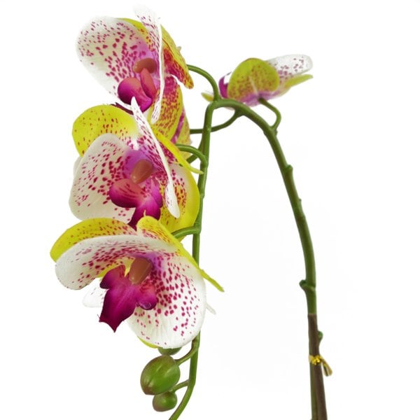 Leaf 46cm Artificial Orchid Harlequin Pink with Silver Pot