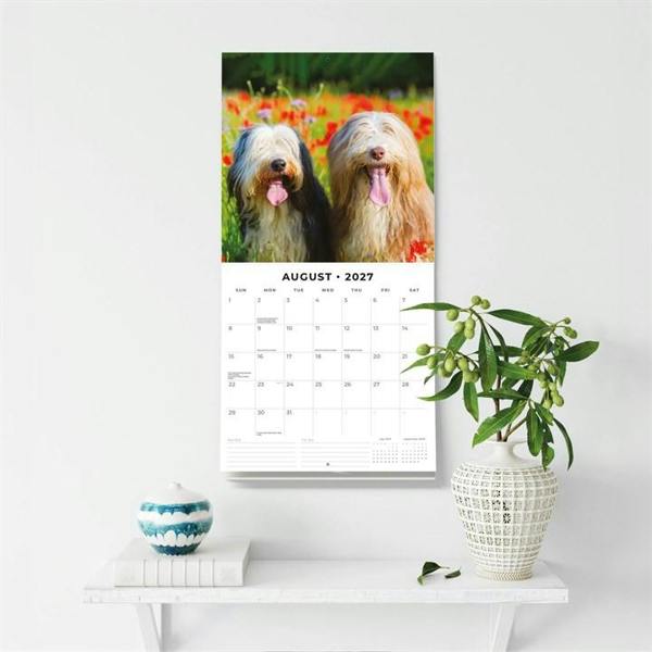 Bearded Collies Calendar 2027, Wall Calendars, Month To View, Dogs, Gift