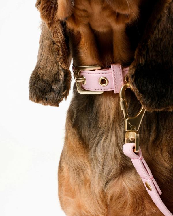 Barc London Blush Pink Dog Collar