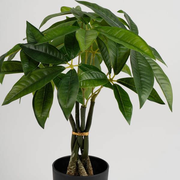 Scottish Everlastings 45cm Real Touch Fortune Tree