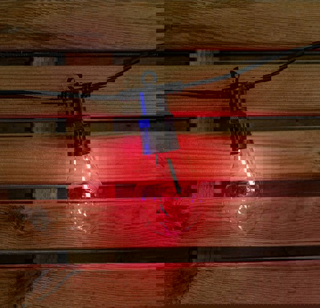 Samuel Alexander Set of 20 Indoor Outdoor Connectable Festoon Lights with Multi-Coloured LEDs