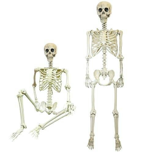 Halloween Life Size Poseable Skeleton Prop 165cm - Realistic Human Skeleton Decoration image 11
