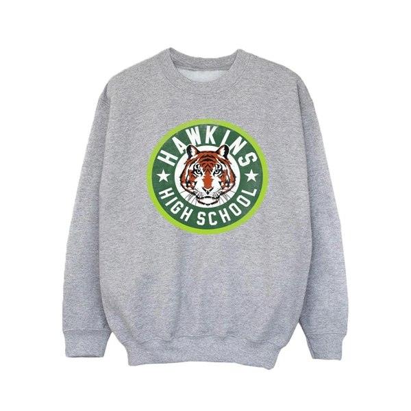 Netflix Girls Stranger Things Hawkins Tiger Circle Sweatshirt - Sports Grey