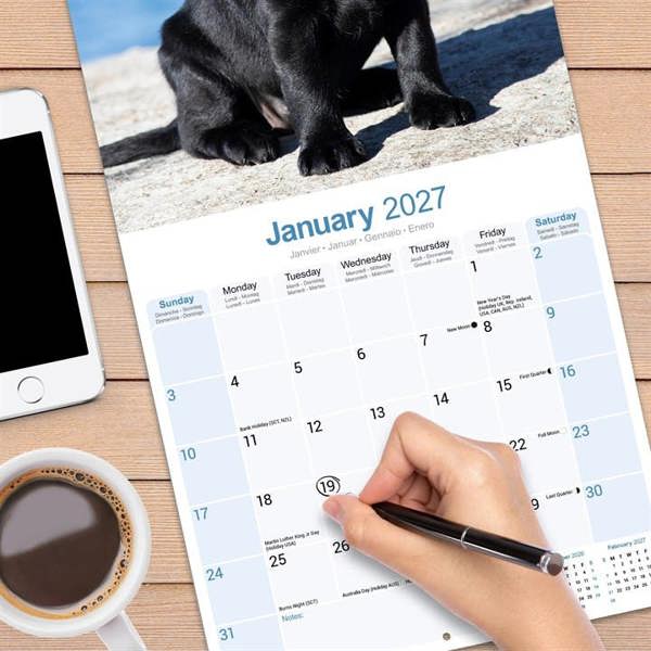 Black Labrador Retriever Puppies Calendar 2027, Wall Calendars, Month To View, Dogs, Gift