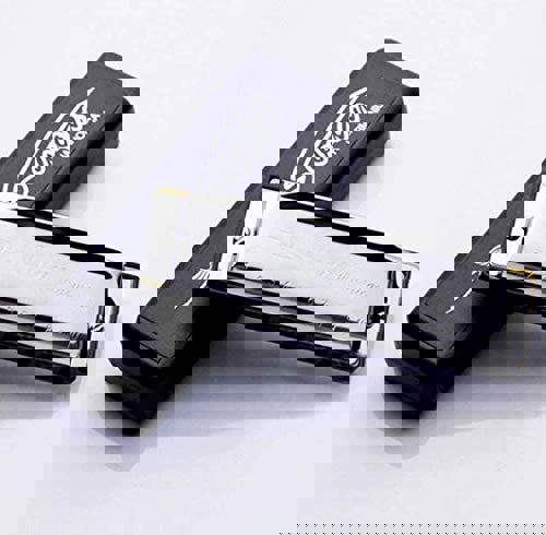 KAV Harmonica Key of C 10 Hole 20 Tone Diatonic Harmonica C with Case for Beginner, Students, Kids Gift