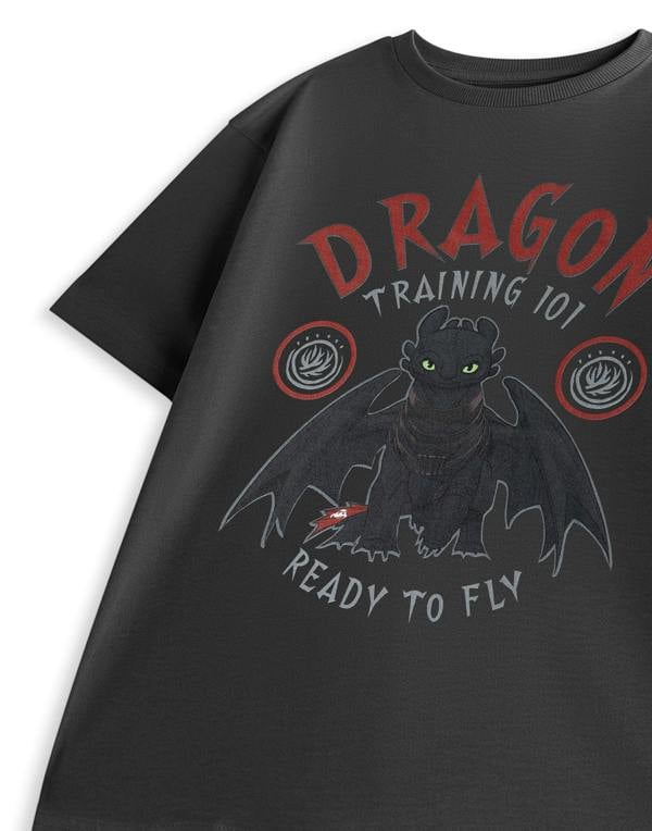 How to Train Your Dragon Boys Grey Training 101 Short Sleeved T-Shirt