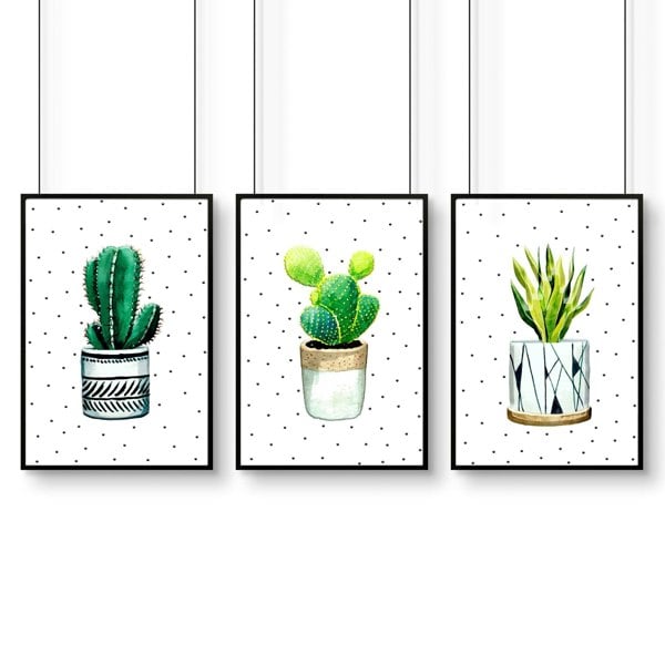 Wall pictures for Kitchen | set of 3 Succulents prints