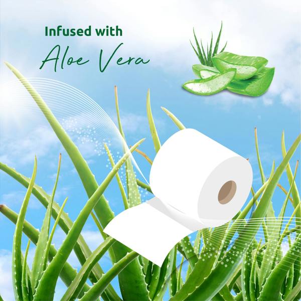 Phoenix Soft Aloe Vera Fragranced Quilted White 3 Ply Toilet Paper (60 Pack)