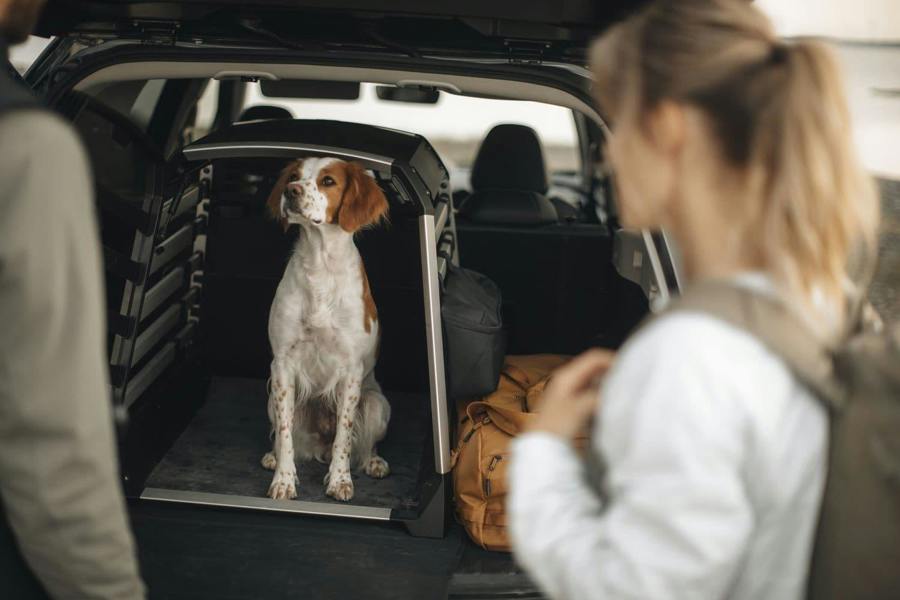 Thule Storage Bag Pouch Treat Organiser for Allax Dog Crate