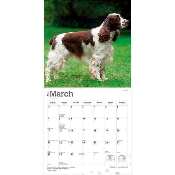 English Springer Spaniels Calendar 2027, Wall Calendars, Month To View, Dogs, Gift