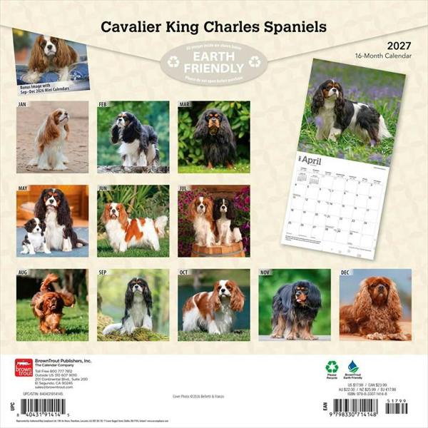 Cavalier King Charles Spaniels Calendar 2027, Wall Calendars, Month To View, Dogs, Gift