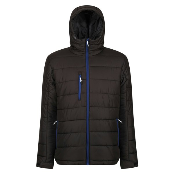 Regatta Men's Navigate Thermal Padded Jacket - Black/New Royal