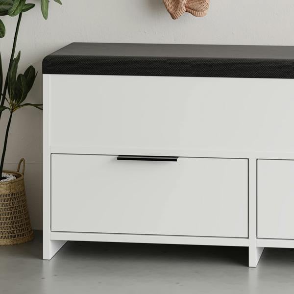 Decortie Modern Cove Shoe Storage with Fabric Bench 2-Tier Cabinet Hallway Entryway Storage 106x34x50cm