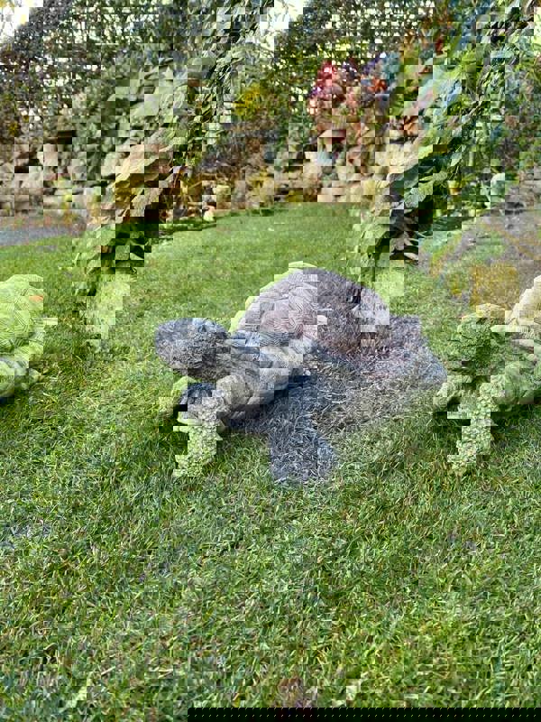 Medium Stone Cast Tortoise Garden Ornament