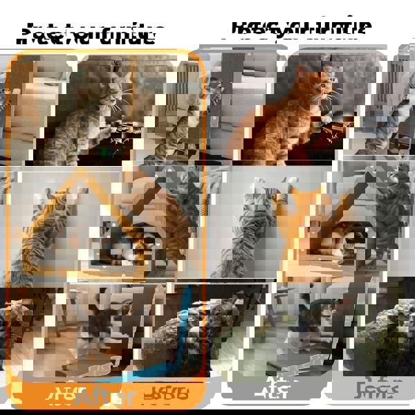 Skylos Cat Scratching Board Durable Recyclable Cardboard Scratcher Lounge Bed