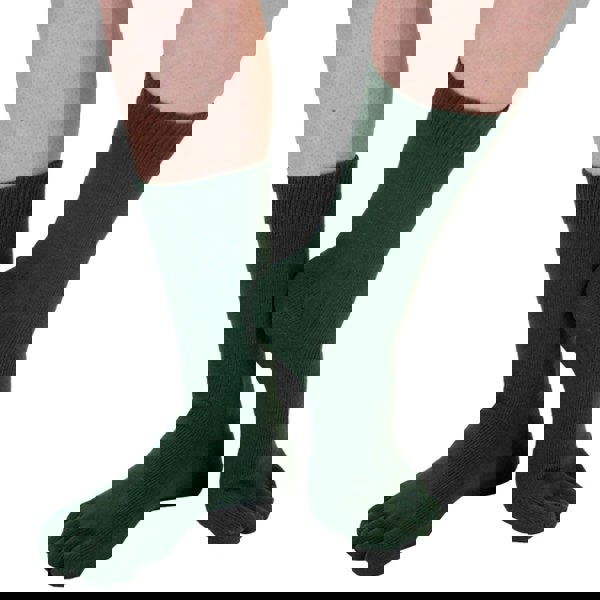 t4option1_1
