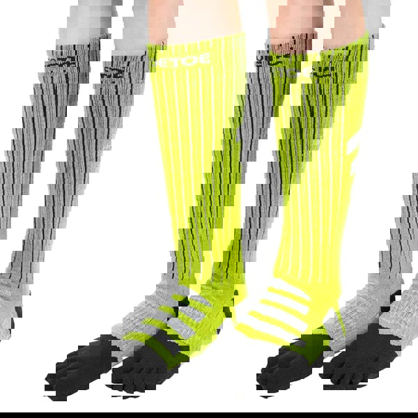 t4option1_1