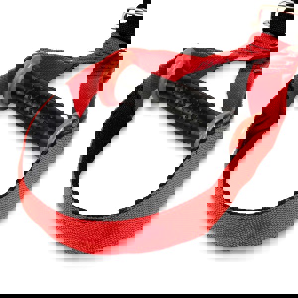 Fitness Mad Pro Bodyweight Suspension Trainer Black/Red Handle