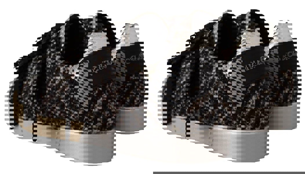 154074251.jpg