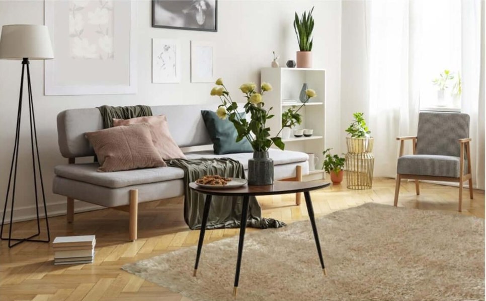 Solid Design Shaggy Rug for Living Room in Natural – The Rug
