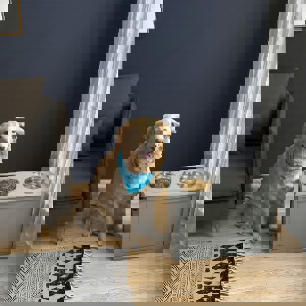 D08-021V00GY