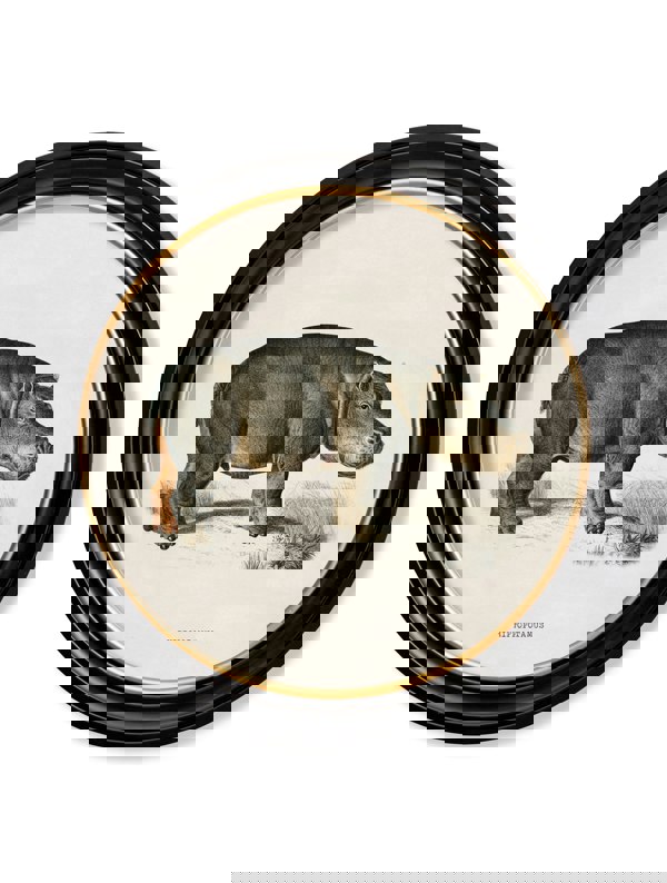 Exceptional Art c.1846 Rhino & Hippo - Round Frames