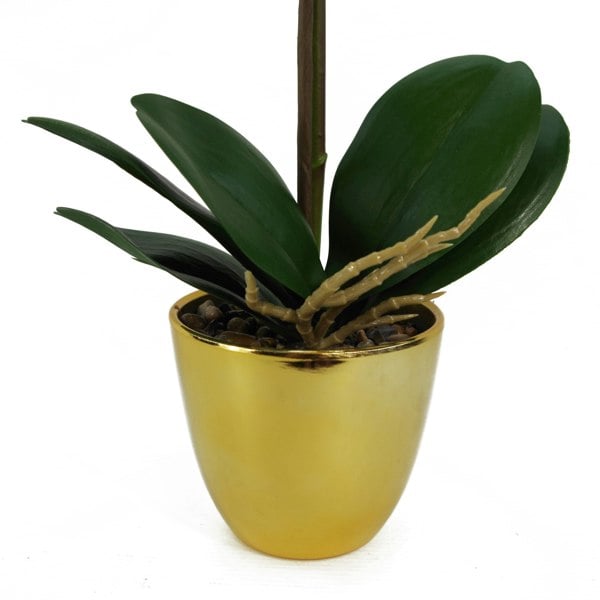 Leaf 48cm Harlequin Orchid Artificial  - Pink with Gold Pot