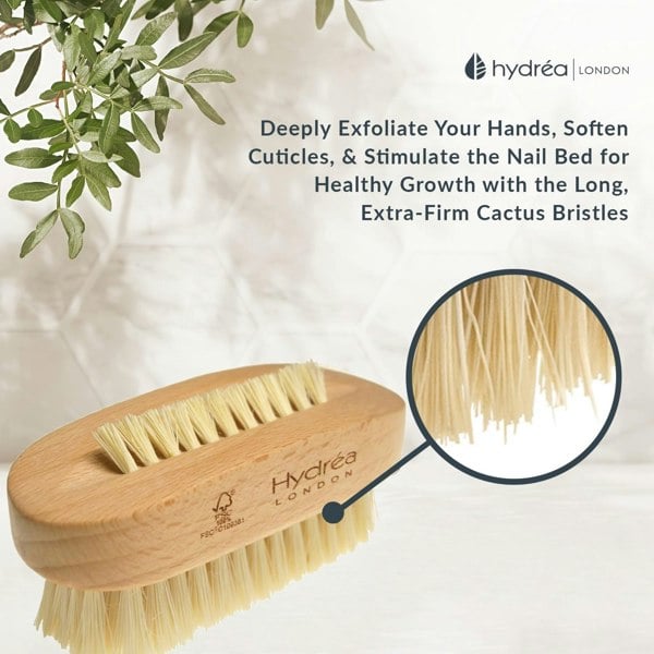 Hydréa London Premium Dual Sided Hand + Nail Brush With Cactus Bristle