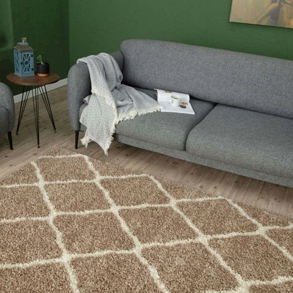 Moroccan Design Thick Shaggy Area Rugs Beige