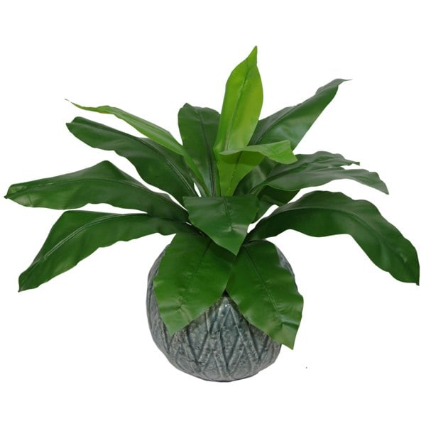 Leaf 50cm Bushy Artificial Bird's Nest Fern Plant