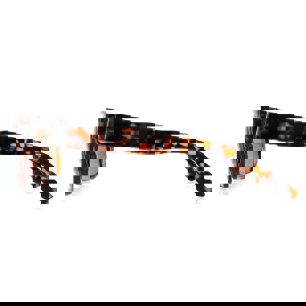 INVU Sunglasses B2130 B Demi Tortoise Brown Brown Polarized