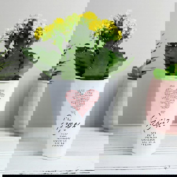 Personalised Memento Company Personalised Heart Plant Pot